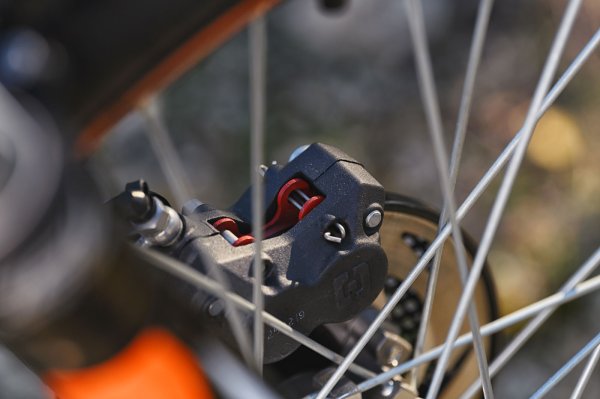 画像4: SCORPA　TY125Adventure (4)