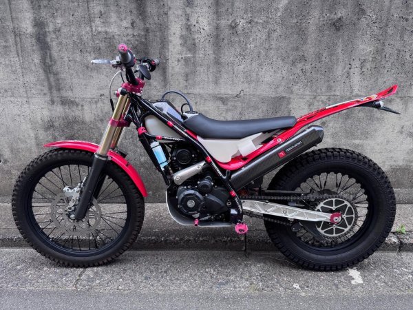 画像2: 2024 TENACI-WONG　TWJ200L　中古車 (2)