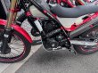 画像3: エキパイカーボンヒートガード　ロングタイプ/TENACI-WONG 200L用 (3)