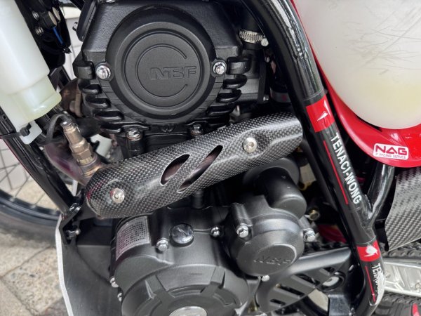 画像1: エキパイカーボンヒートガード　ロングタイプ/TENACI-WONG 200L用 (1)