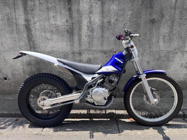 画像1: SCORPA TY-S125F　中古車 (1)