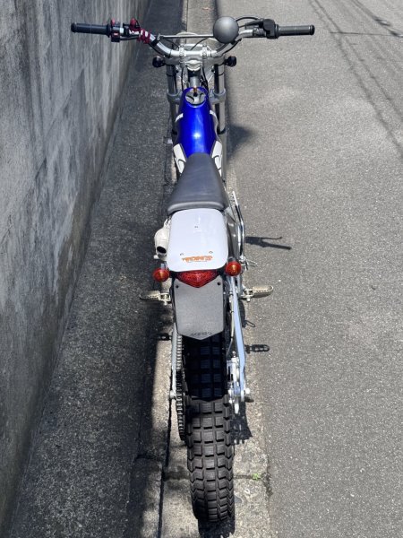 画像4: SCORPA TY-S125F　中古車 (4)