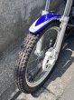 画像8: SCORPA TY-S125F　中古車 (8)