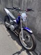 画像2: SCORPA TY-S125F　中古車 (2)