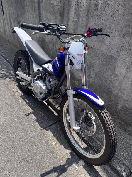 画像2: SCORPA TY-S125F　中古車 (2)