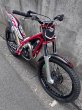 画像2: 2014 GASGAS TXTPRO250　中古車 (2)